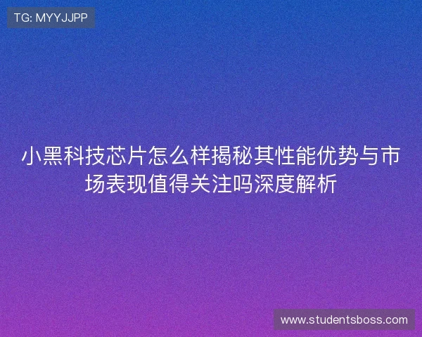 小黑科技芯片怎么样揭秘其性能优势与市场表现值得关注吗深度解析